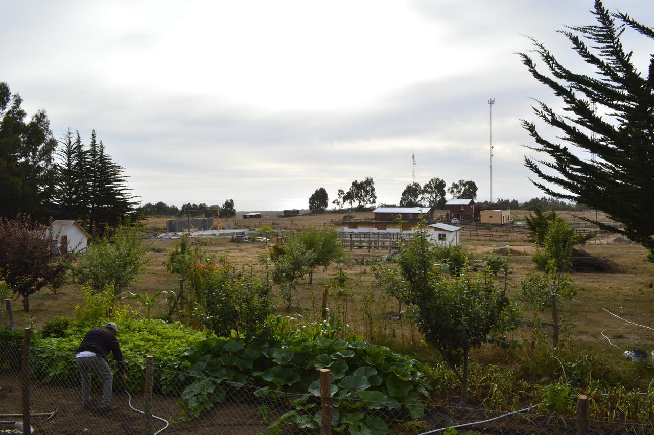 Hecmar 2 Guest House Pichilemu Exterior photo