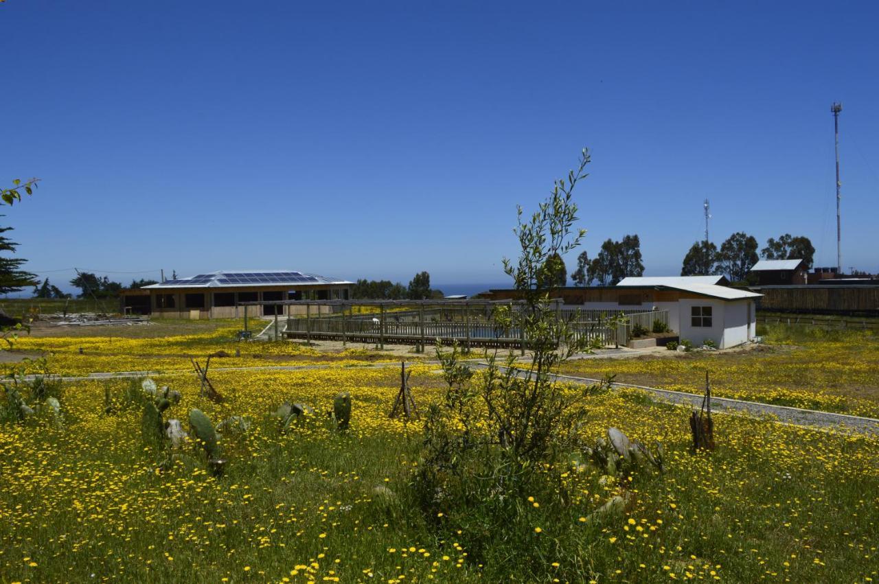 Hecmar 2 Guest House Pichilemu Exterior photo