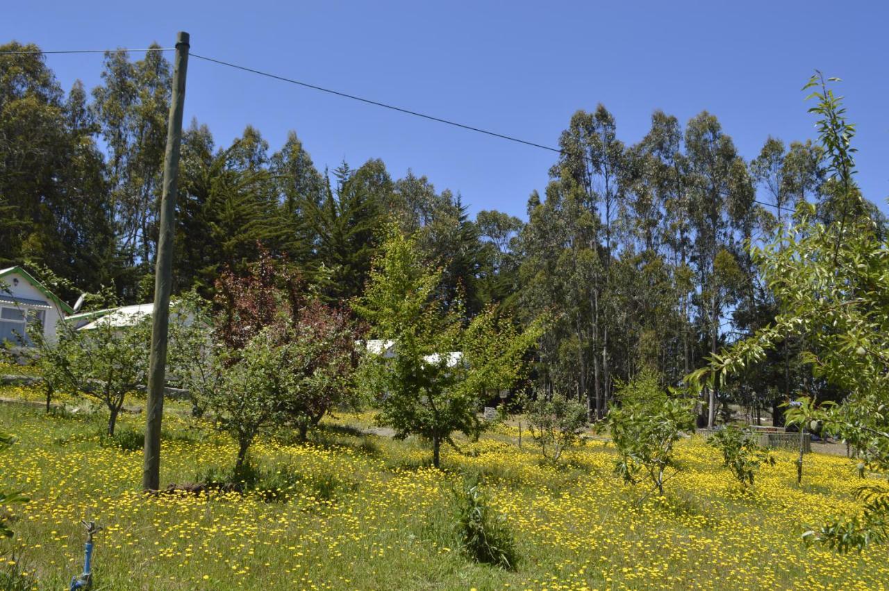 Hecmar 2 Guest House Pichilemu Exterior photo